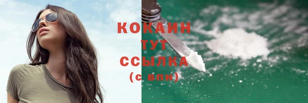 PSILOCYBIN Вязники