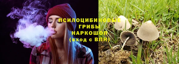 каннабис Вяземский