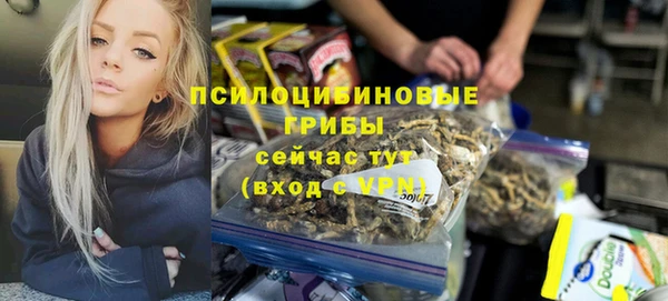 PSILOCYBIN Вязники