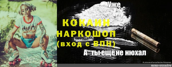 прущая мука Вязьма