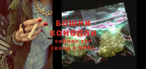 PSILOCYBIN Вязники