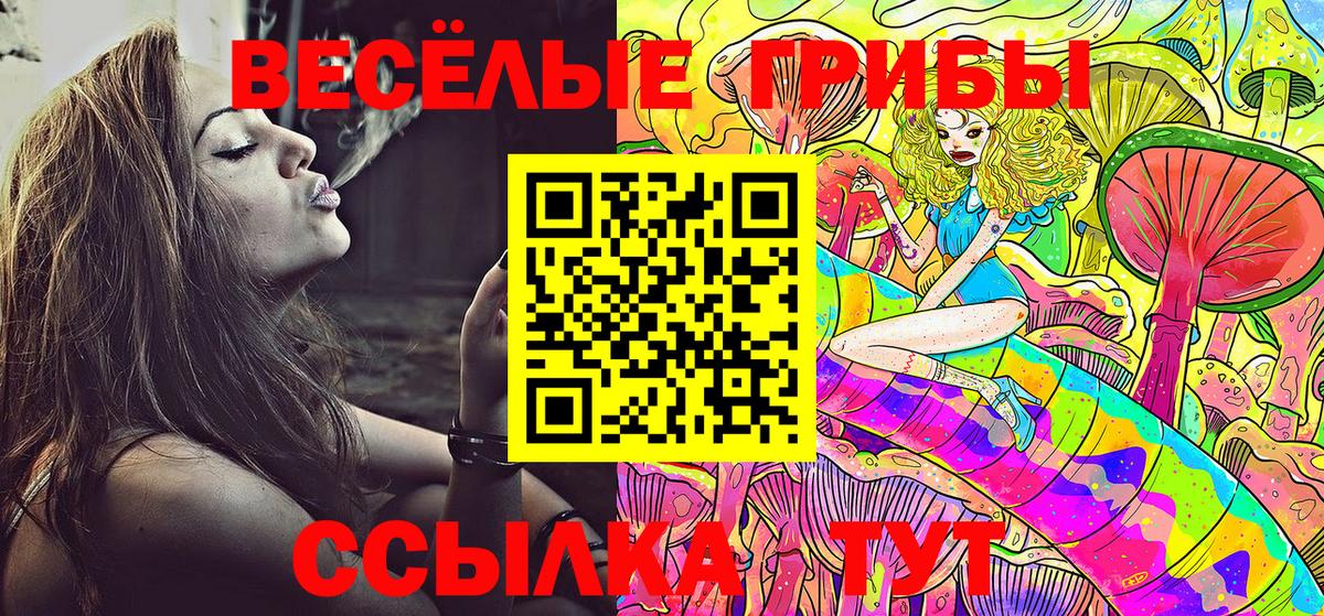 Псилоцибиновые грибы мицелий Луга