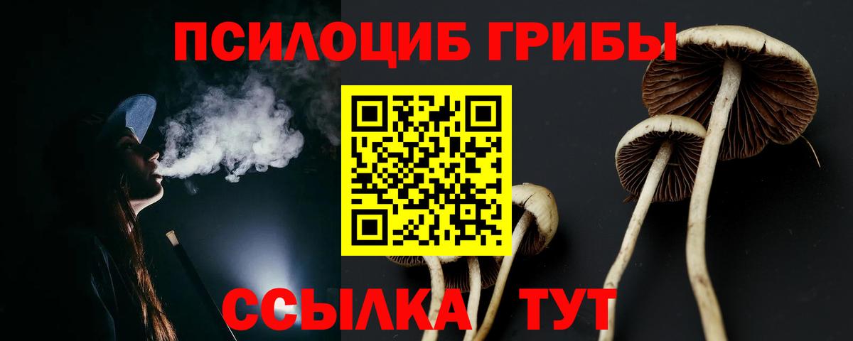 Луга  Галлюциногенные грибы прущие грибы  Вход с VPN 